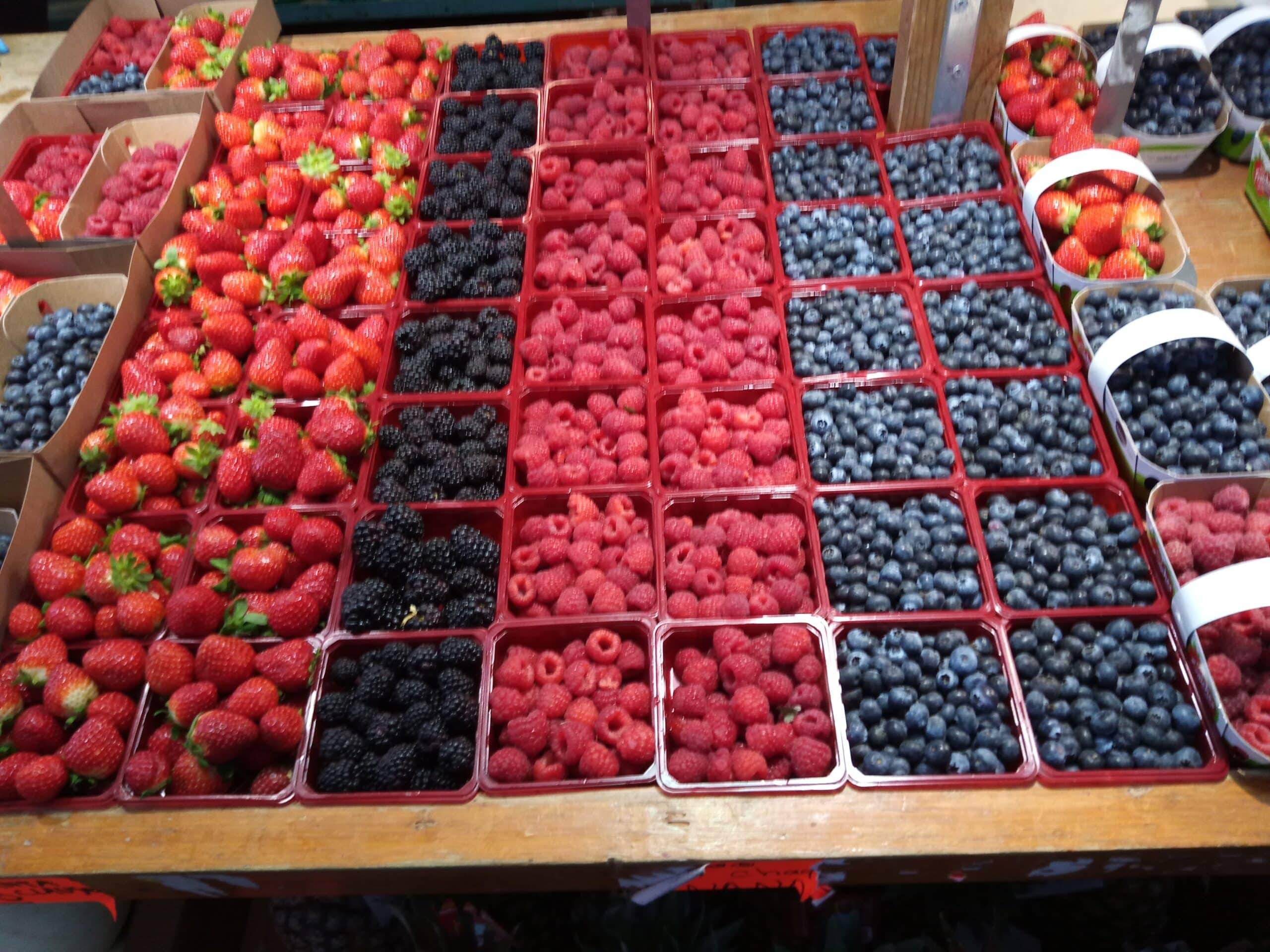 Here are some berries. These are examples of plant-based products.