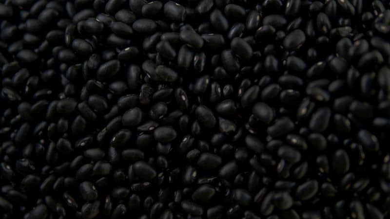 Black beans as well as other beans and lentils arre an important source of protein and magnesium for plant-based eaters.