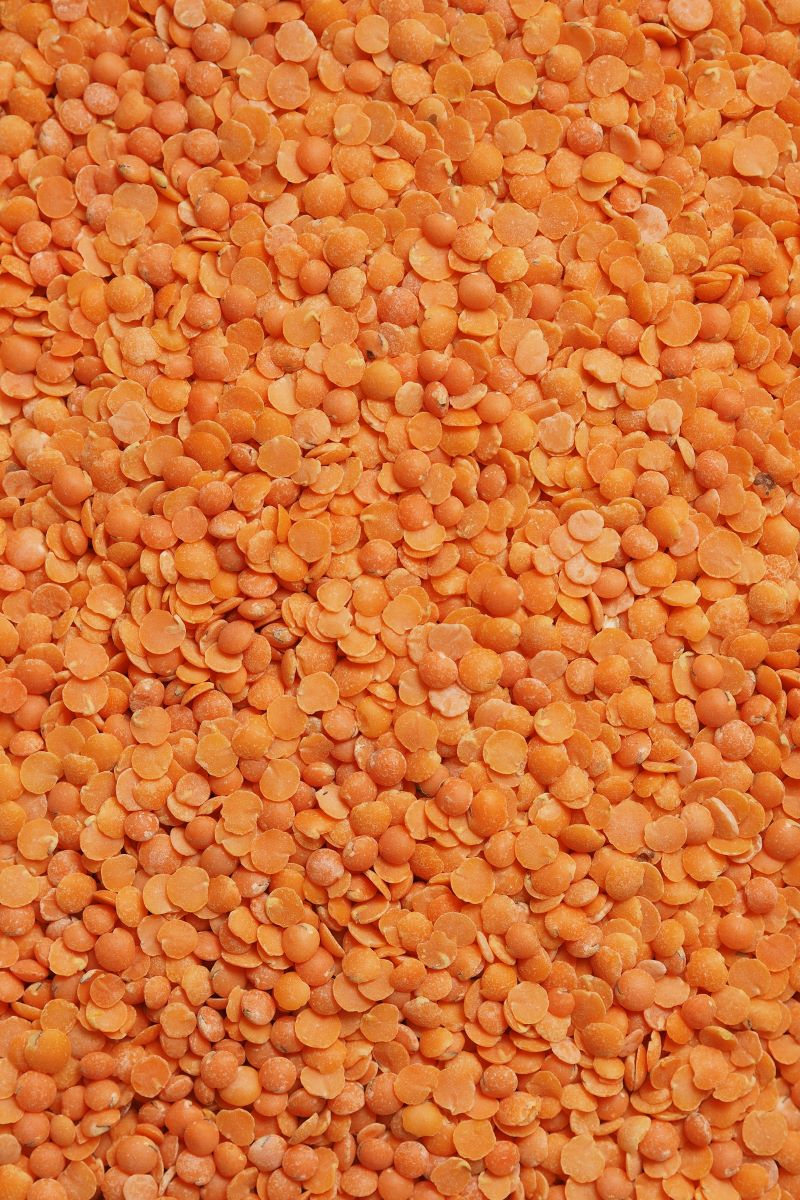 Red lentils are a healthy whole food plant based. They make a great addition to any meal.