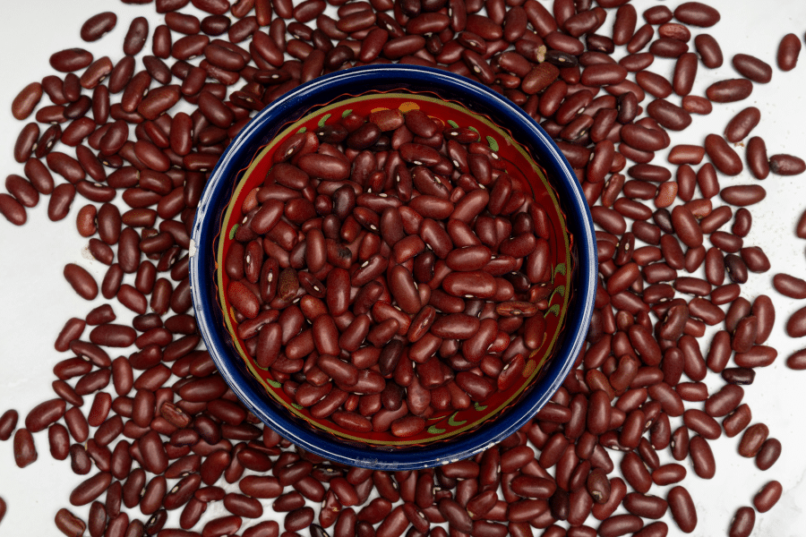 Red kidney beans are a great plant-based source of protein. They are great in vegan tomato sauce, stews, soups and so much more!